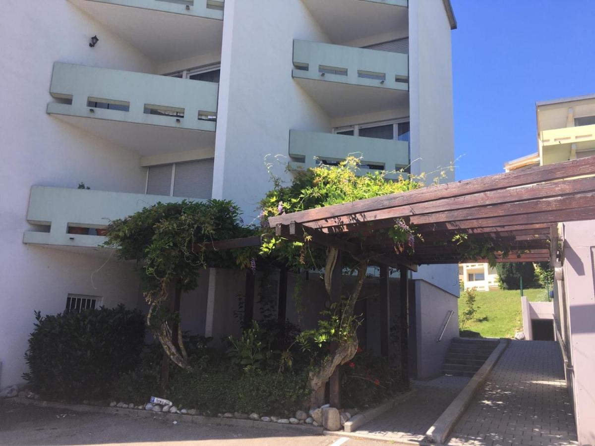 Ausgestattete 1 Zi-whg Für Urlaub U Dienstreisen Apartment