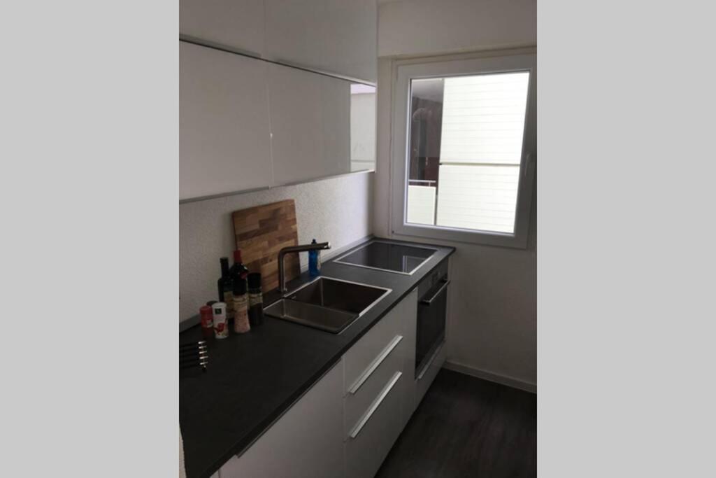 Ausgestattete 1 Zi-whg Für Urlaub U Dienstreisen Apartment